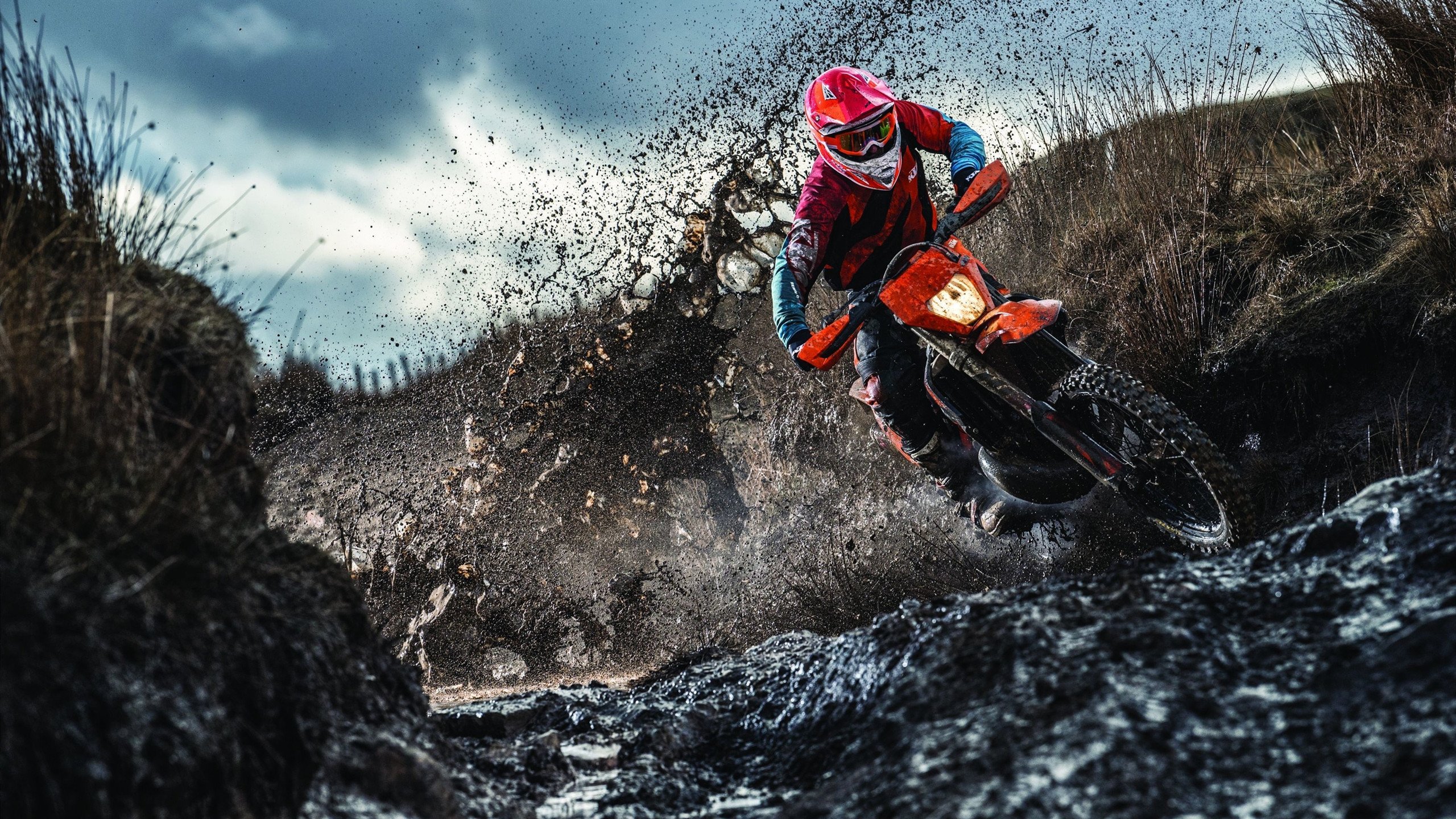 深圳领航队发挥团队精神弥补个体差距，团队精神领袖