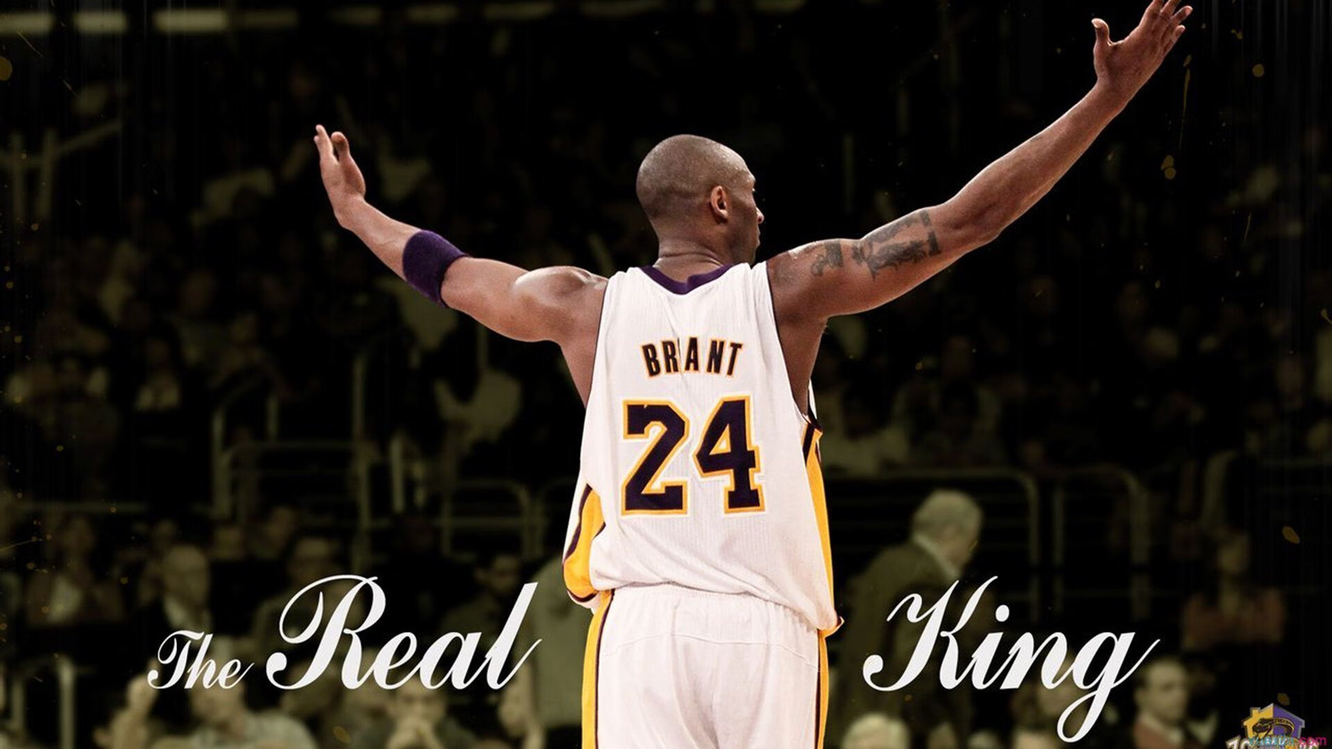 深圳领航队发挥团队精神弥补个体差距，团队精神领袖